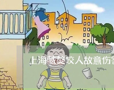 上海藏獒咬人故意伤害罪/2023021631583 上海藏獒咬人故意伤害罪/2023021631583