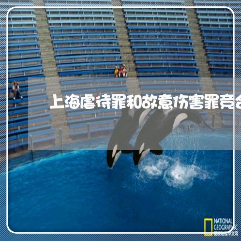 上海虐待罪和故意伤害罪竞合/2023032360401
