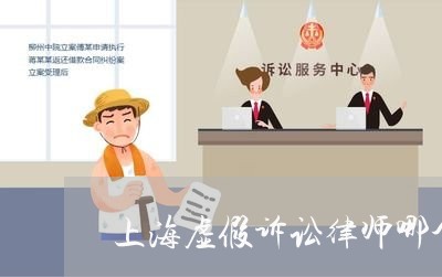 上海虚假诉讼律师哪个好/2023021606037 上海虚假诉讼律师哪个好/2023021606037