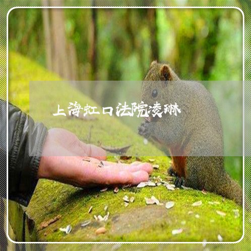 上海虹口法院凌琳