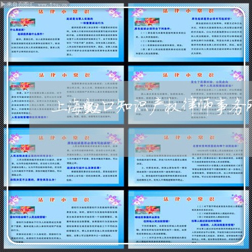 上海虹口知识产权律师事务所/2023032395169