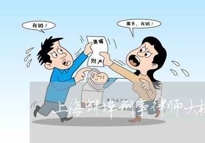 上海蚌埠刑事律师大概多少钱/2023032372896