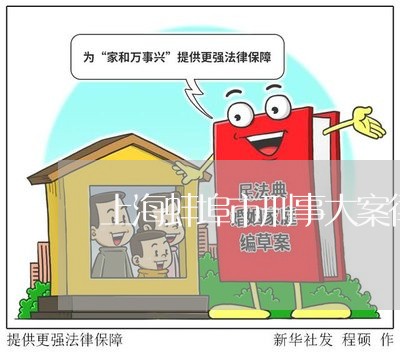 上海蚌埠市刑事大案律师/2023021639327 上海蚌埠市刑事大案律师/2023021639327