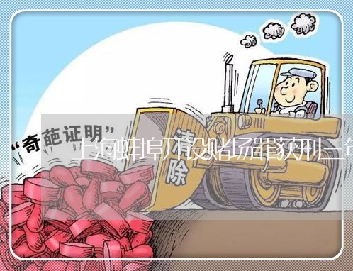 上海蚌埠开设赌场罪获刑三年/2023032317148