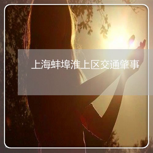 上海蚌埠淮上区交通肇事/2023021683837 上海蚌埠淮上区交通肇事/2023021683837