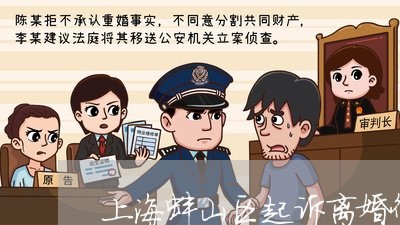 上海蚌山区起诉离婚律师事务所/2023042059282