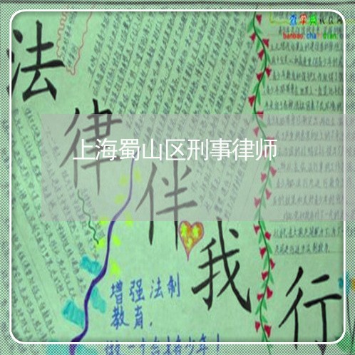 上海蜀山区刑事律师/2023032596259