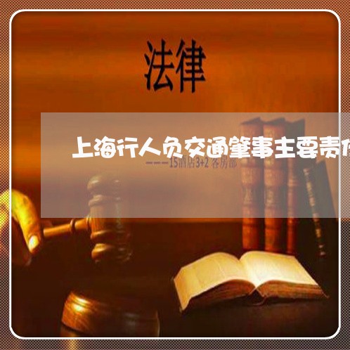 上海行人负交通肇事主要责任/2023032347040 上海行人负交通肇事主要责任/2023032347040