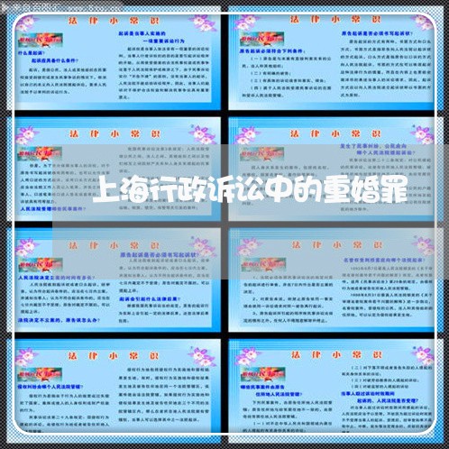 上海行政诉讼中的重婚罪/2023021749370 上海行政诉讼中的重婚罪/2023021749370