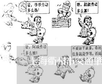 上海衢州市交通肇事逃逸/2023041256745