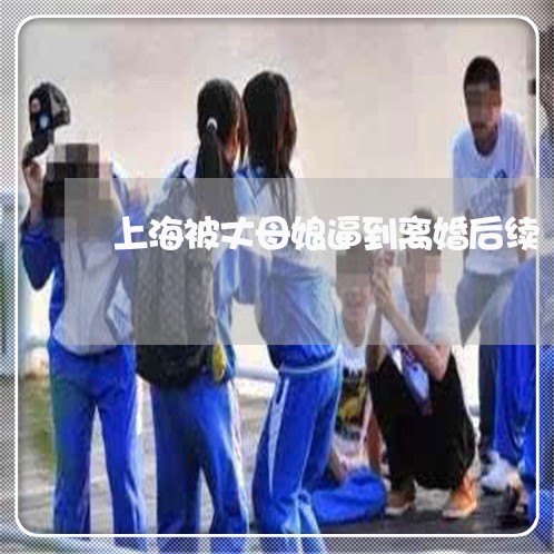 上海被丈母娘逼到离婚后续/2023031956251 上海被丈母娘逼到离婚后续/2023031956251