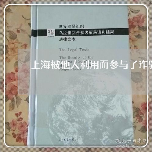 上海被他人利用而参与了诈骗罪/2023042171414