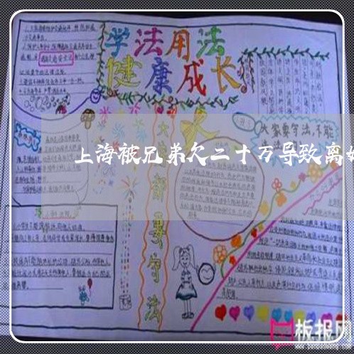上海被兄弟欠二十万导致离婚/2023032374138 上海被兄弟欠二十万导致离婚/2023032374138