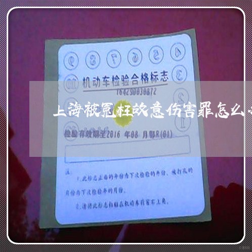 上海被冤枉故意伤害罪怎么办/2023032318159
