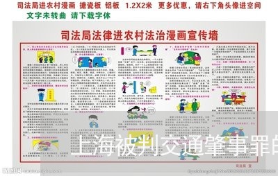 上海被判交通肇事罪的后果/2023031987161