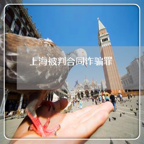 上海被判合同诈骗罪/2023032540584