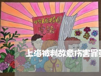 上海被判故意伤害罪量刑过重/2023032394704 上海被判故意伤害罪量刑过重/2023032394704