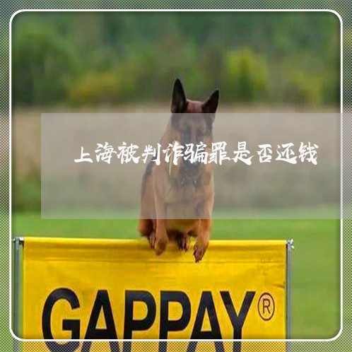 上海被判诈骗罪是否还钱/2023021727471 上海被判诈骗罪是否还钱/2023021727471