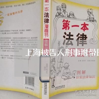 上海被告人刑事附带民事辩护词/2023042182603