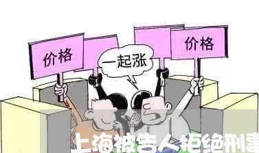 上海被告人拒绝刑事辩护/2023041238169