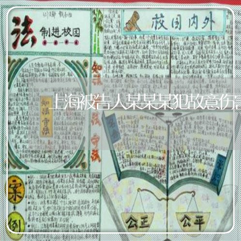 上海被告人某某某犯故意伤害罪/2023042171694