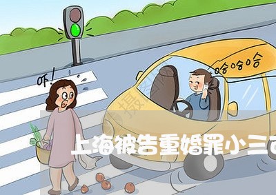 上海被告重婚罪小三可以躲吗/2023032331614
