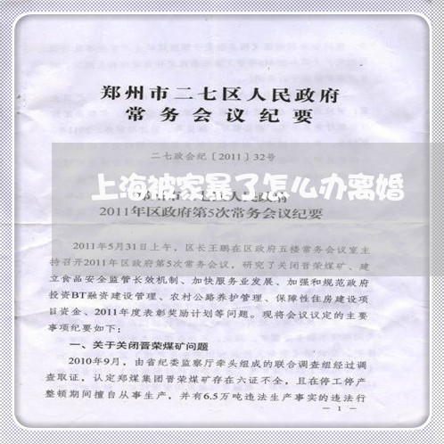 上海被家暴了怎么办离婚/2023041216268