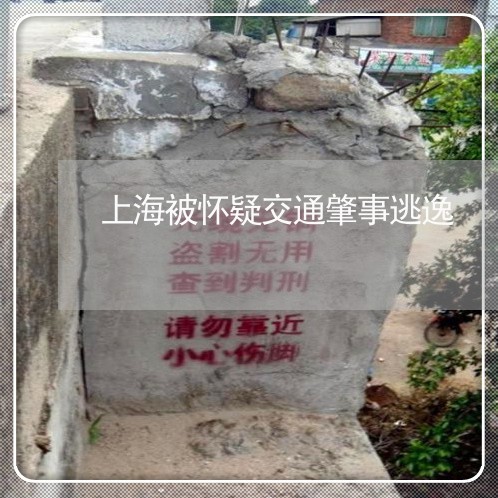上海被怀疑交通肇事逃逸/2023041216926