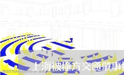 上海被撞方交通肇事报案材料/2023032361461 上海被撞方交通肇事报案材料/2023032361461