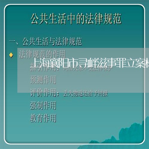 上海襄阳市寻衅滋事罪立案标准/2023042135049