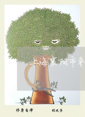 上海襄阳市枣阳刑事律师/2023021790525 上海襄阳市枣阳刑事律师/2023021790525