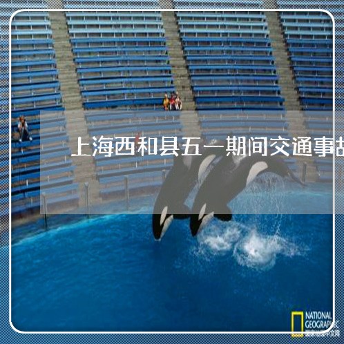 上海西和县五一期间交通事故/2023032375938 上海西和县五一期间交通事故/2023032375938