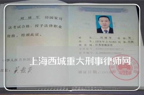 上海西城重大刑事律师网/2023041268460