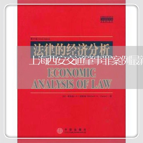 上海西安交通肇事罪案例最新/2023032351604