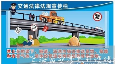 上海西安涉黑开设赌场判决案例/2023042185158