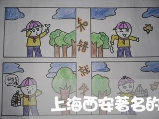 上海西安著名的刑事案件律师/2023032373803 上海西安著名的刑事案件律师/2023032373803