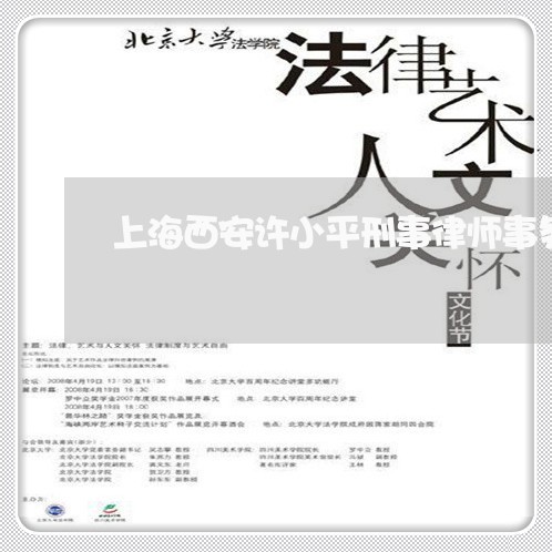 上海西安许小平刑事律师事务所/2023042137251