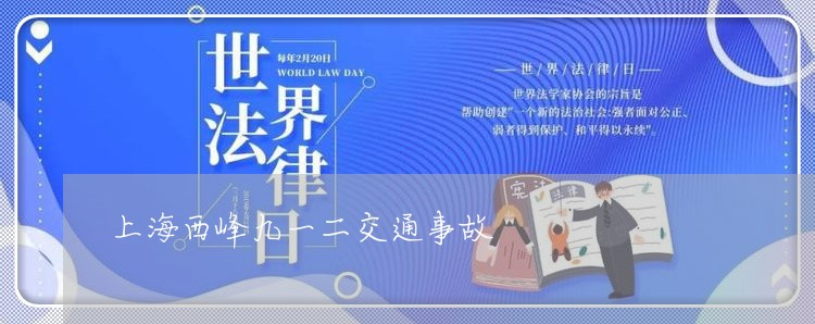 上海西峰九一二交通事故/2023021789404 上海西峰九一二交通事故/2023021789404