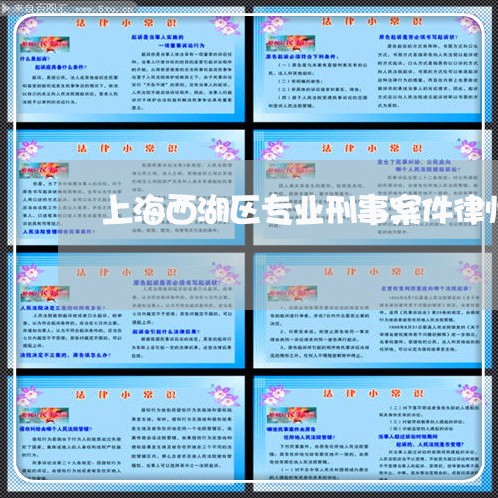 上海西湖区专业刑事案件律师/2023032337362