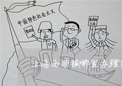 上海西胪镇哪里办理离婚/2023021742792