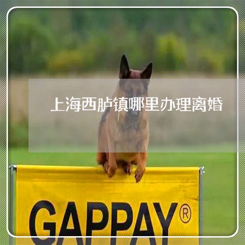 上海西胪镇哪里办理离婚/2023021796160