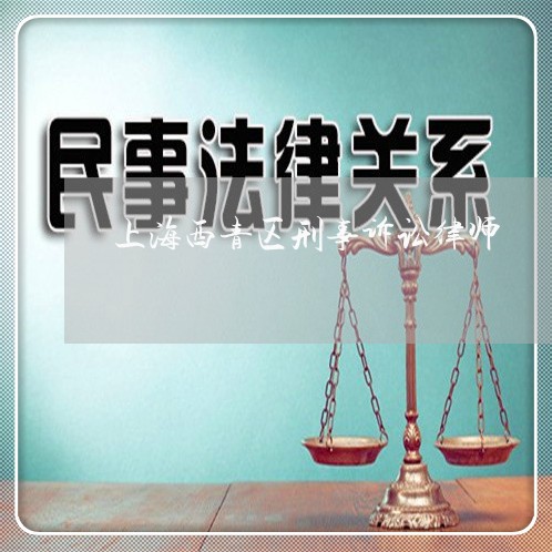 上海西青区刑事诉讼律师/2023041252704