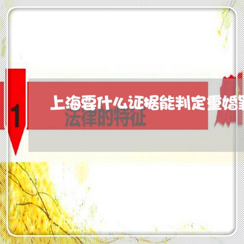 上海要什么证据能判定重婚罪/2023032396815