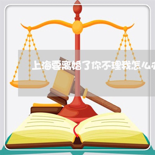 上海要离婚了你不理我怎么办/2023032357371 上海要离婚了你不理我怎么办/2023032357371