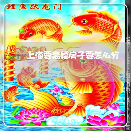 上海要离婚房子要怎么分/2023021748282 上海要离婚房子要怎么分/2023021748282