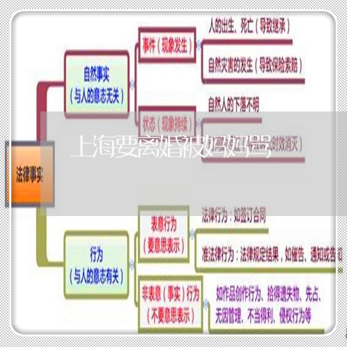 上海要离婚被妈妈骂/2023032508937