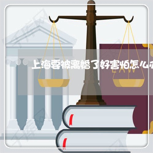 上海要被离婚了好害怕怎么办/2023032305936