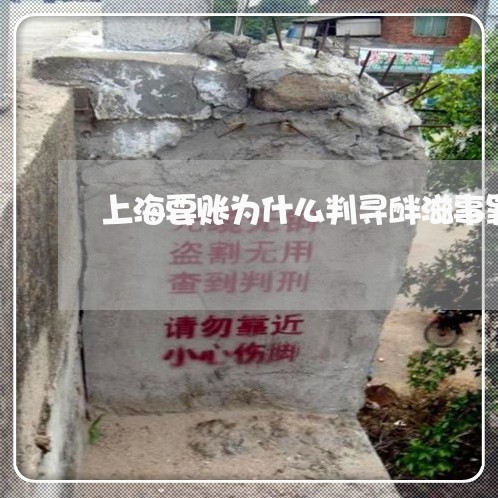 上海要账为什么判寻衅滋事罪/2023032315849