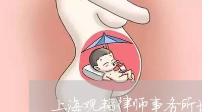 上海观韬律师事务所地址/2023041206949