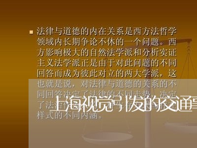 上海视觉引发的交通事故/2023021728271 上海视觉引发的交通事故/2023021728271